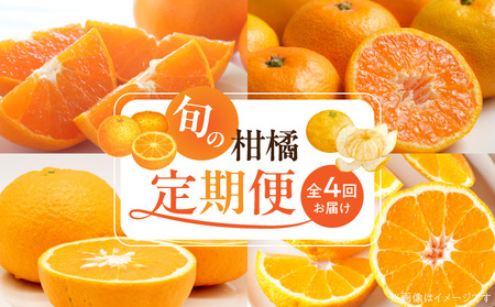 G60-T99_[定期便 全4回]紀州和歌山産旬の柑橘セット(みかん・不知火・せとか・清見)全4回