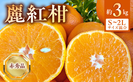 (2026年先行受付)麗紅柑 (れいこう) 赤秀品 S〜2Lサイズ 3kg 和歌山有田産