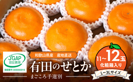 [2026年先行予約][まごころ手選別] せとか 化粧箱入り (11〜12玉)