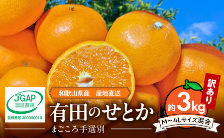 [2026年先行予約][まごころ手選別] せとか 約3kg 家庭用