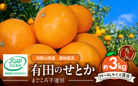 [2026年先行予約][まごころ手選別] せとか 約3kg 秀品
