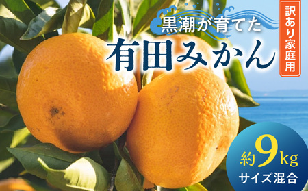 黒潮が育てた有田みかん約9kg(サイズ混合)(訳あり 家庭用)