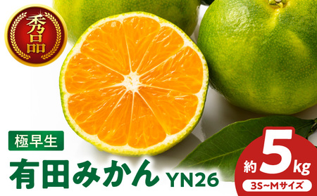 有田みかん 極早生 秀品 約5Kg