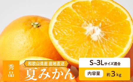 [2026年先行予約]和歌山県産 夏みかん 3kg 秀品