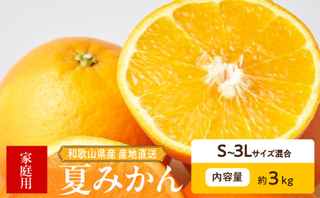 [2026年先行予約]和歌山県産 夏みかん 3kg 家庭用