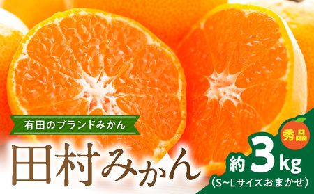 ZD7030_yuh݂zc݂ 3kg (S`LTCY܂EGi)