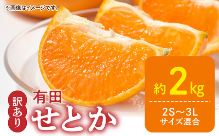 DZ6230_y2026Ns\zƒp Ƃ a̎R Lc 2S`3LTCY 傫C 2kg