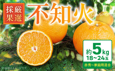 BK6013__̕smΖ5kg(18`24ʁEỈʁj