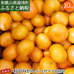 DZ6201_01_y2026N1zƒp Lc݂ a̎R S`LTCY 傫C 10kg