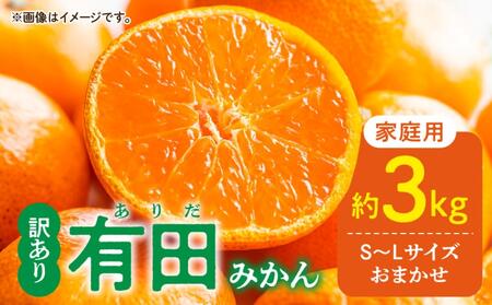 DZ6203_12_y2025N12zƒp Lc݂ a̎RY  S`LTCY 傫C 3kg