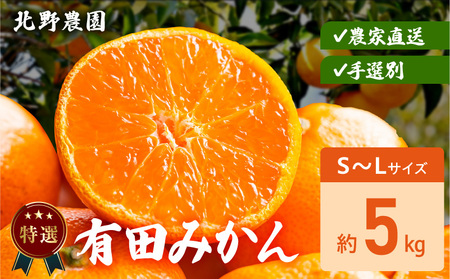 DZ6232_���I �L�c�݂��� �a�̎R S�`L�T�C�Y �傫�����C�� ��5kg