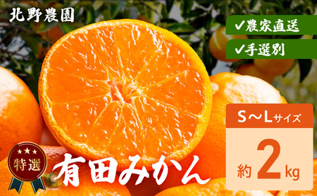 DZ6234_【2026年先行予約】特選 有田みかん 和歌山 S～Lサイズ 大きさお任せ 約2kg
