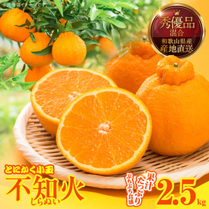 不知火 (しらぬい) とにかく小玉 箱込 2.5kg (内容量約2.3kg) 秀品 優品 混合