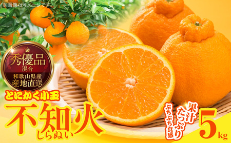 MK1017_不知火 (しらぬい) とにかく小玉 箱込 5kg (内容量約4.4kg) 秀品 優品 混合