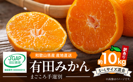 [2026年先行予約][家庭用] 和歌山県産 有田みかん 約10kg (S〜Lサイズ混合)[まごころ手選別]
