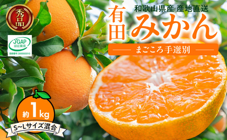 [2026年先行予約][秀品]和歌山県産 有田みかん 約1kg (S〜Lサイズ混合)[まごころ手選別]