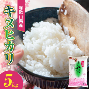 和歌山県産キヌヒカリ 5kg(2025年産)