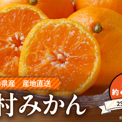 [2026年先行予約]和歌山 湯浅町産 田村みかん 約5kg[2Sサイズ]