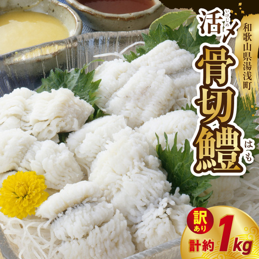 [訳アリ・業務用]活〆 加熱用 国産 骨切鱧 約1kg (200g〜300g程の大きさの鱧を3〜5匹)