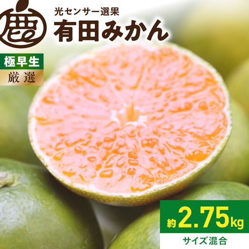 [2026年9月下旬〜11月中旬頃に順次発送][2026年先行予約]厳選 極早生有田みかん約2.5kg+250g(傷み補償分)ゆら早生みかん[YN26・ゆら早生][光センサー選果]