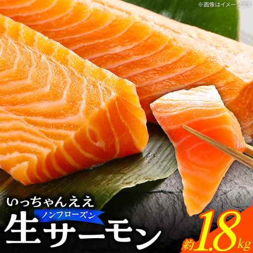 いっちゃんええ[ノンフローズン]生サーモン 全て手作業 半身 約1.8kg