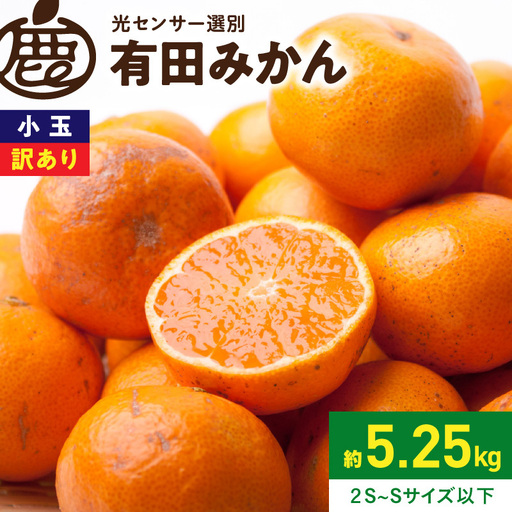 [2026年11月上旬〜2027年1月上旬頃に順次発送][2026年先行予約]家庭用 小玉な有田みかん約5kg+250g(傷み補償分)[わけあり・訳あり][光センサー選果]