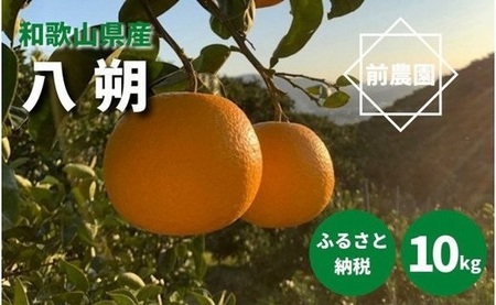 BL6010n_[2026年先行予約][産地直送]和歌山県産 八朔 10kg (M〜3Lサイズ)
