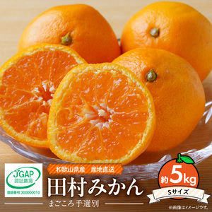 ZE6485_【2026年先行予約】和歌山 湯浅町産 田村みかん 約5kg【Sサイズ】