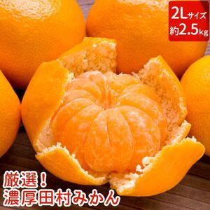 AB6309n_[和歌山特産品][プレミアムブランド]絶品! 田村みかん 2.5kg (2Lサイズ)