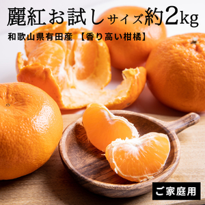 CE6106n_[香り高い柑橘]和歌山県有田産 麗紅 お試しサイズ 約2kg[訳あり 家庭用]