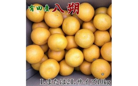 ZD6307n_[先行予約][手選果]有田産の 八朔 10kg 大玉 (Lまたは2Lサイズいずれかお届け)