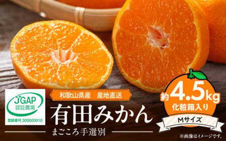 ZE6059n_a̎RY Lc݂ ϔ 4.5kg MTCYy܂Iʁz