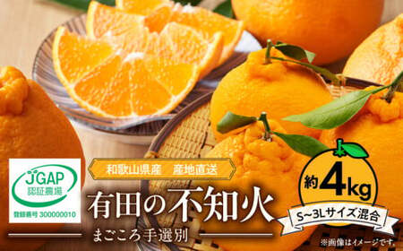 ZE6177n_[2026年先行予約]和歌山県産 有田の 不知火(しらぬひ) 4kg (S〜3Lサイズ混合)[まごころ手選別]