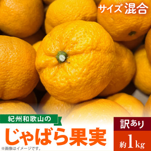 AB7033n_(国産)紀州和歌山の じゃばら 果実(訳あり ジャバラ 家庭用)1kg