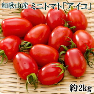 ZD6701n_和歌山産ミニトマト「アイコトマト」約2kg(S・Mサイズおまかせ) 2024年5月発送