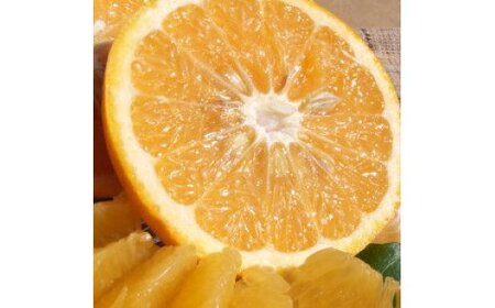 V7416_É(܂Ȃ)Gi7kg a̎RLcY t݂ tk (ʎTCY܂)/Iɍq{