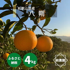 BL6113n_[産地直送]和歌山県産 八朔 4kg (M〜3Lサイズ)