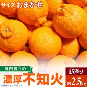 AB7055n_(先行予約)有田育ちの濃厚 不知火 (デコポンと同品種)(訳あり 家庭用)2.5kg (サイズおまかせ)