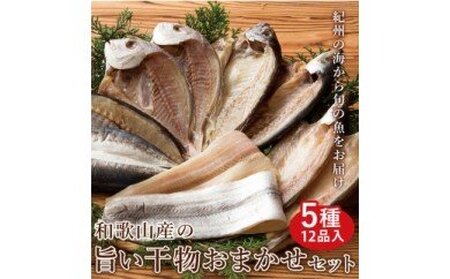 ZB6083n_和歌山産 干物詰め合わせセット 5種12品入り[無添加・無着色]