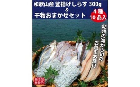 ZB6084n_和歌山産 釜揚げしらす 300g & 干物詰め合わせセット 4種10品入り[無添加・無着色]