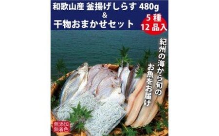 ZB6085n_和歌山産 釜揚げしらす 480g&干物詰め合わせセット 5種12品入り[無添加・無着色]