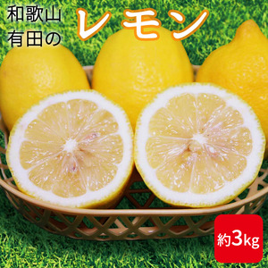 ZE6382n_[先行予約]和歌山県産 有田の 檸檬 ( レモン ) 3kg[まごころ手選別]