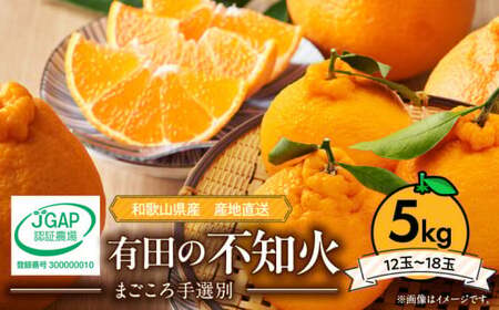 ZE6383n_[2026年先行予約]有田の不知火(しらぬひ) 5kg 12〜18玉 (2L〜4Lサイズ) 手選別 国産 有田のしらぬひ 産地直送 有名 柑橘 果物 果実 フルーツ バランス良い甘さ 甘い 食品 食べ物 あしや お取り寄せ 和歌山県 湯浅町 送料無料