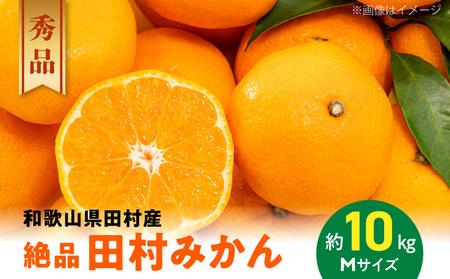 AB7069_ya̎RYizyv~AuhziI c݂ Gi MTCY 10kg