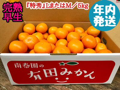 ZF6030n_≪年内発送≫[完熟早生・有田みかん]『特秀』LまたはMサイズ/5kg