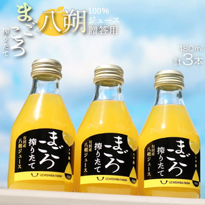 ZE6388n_[まごころ搾りたて]八朔 100%ジュース 180ml × 3本 贈答用