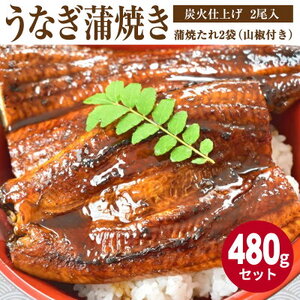 うなぎ蒲焼き 2尾入 (合計480g) 蒲焼たれ2袋(山椒付き)