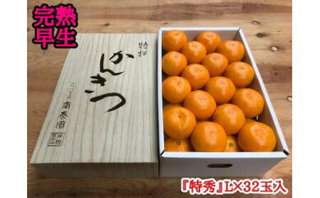ZF6034n_[完熟早生・有田みかん]化粧箱『特秀』 4kg Lサイズ32個入