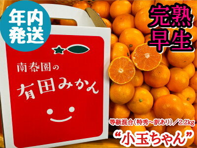 ZF6064n_≪年内発送≫[完熟早生・有田みかん]“小玉ちゃん"/等級混合・約2.2kg