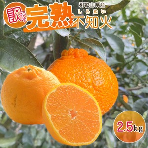 EA6020n_[訳あり・ご家庭用] 和歌山県産 完熟 不知火 2.5kg 甘酸っぱい味わいと芳醇な風味がたまらない高級柑橘!